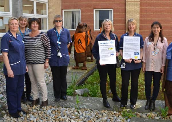 Some of the members of the research team with the much-loved penguins at Worthing Hospital