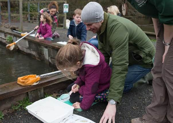 The Southern Co-operative - Wildlife Trust SUS-160518-134303001