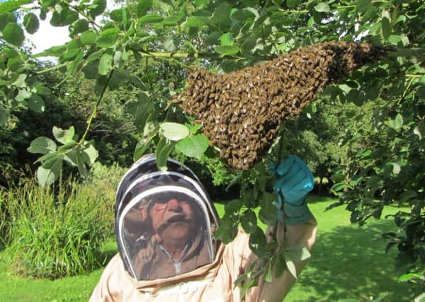 Melvyn Essen. Chairman Central Sussex Beekeepers Association