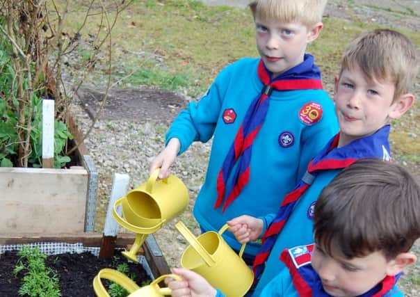 The Beavers with their growing veggies