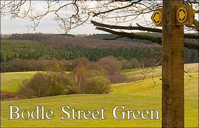 Bodle Street Green news