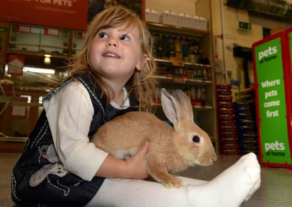 Torquay Pets At Home re-launch with Vets 4 Pets, Friday 1st August 2014.

Instructed by Havas PR UK, Manchester, contact account manager Charlotte Cunningham, 0161 234 9773 or mobile 07841 279848, email charlotte.cunningham@havasww.com.

Pets At Home, Bridge Retail Park, Hele Road, Torquay TQ2 7AP.  Tel 01803 615240.  Deputy store manager Sarah Braid.

Public with pets : 2 years old Lyra Mann from Paignton and a rabbit (full name consent provided).

Photo by Peter Glaser
Peter Glaser Photography
Tremorcoombe, St Breward,
Bodmin Moor,
Cornwall PL30 4LN, UK
01208 851744 / 07771 736445
peter@pgphotography.biz / www.pgphotography.biz SUS-160616-095328001