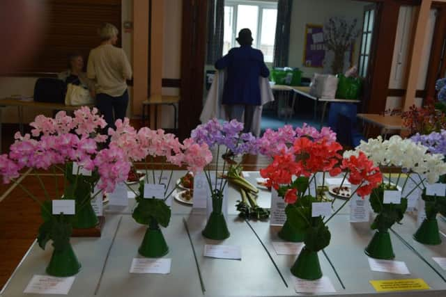 The splendid display of sweet peas