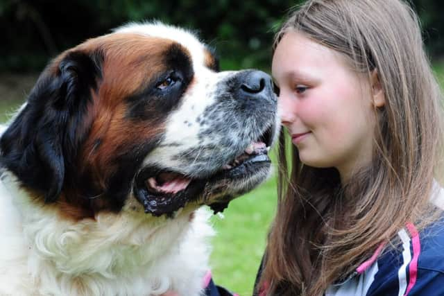 Kasey Christie, 13, with Buddy, an entrant in the dog show ks16000802-3