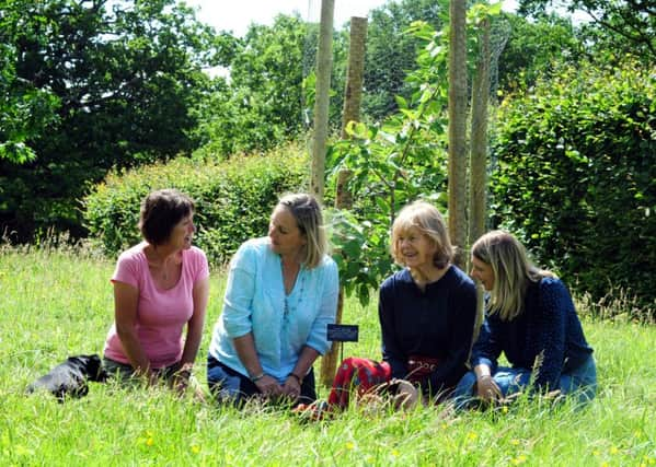 Tree presentation with, from left, Louise Elliott, Carrie McArdle, Lady Joanna Mersey and Lady Mersey. Pictures: Kate Shemilt ks16000789-2