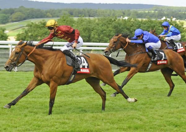 Harry Bentley guides Simple Verse to victory at last year's festival / Picture by Malcolm Wells