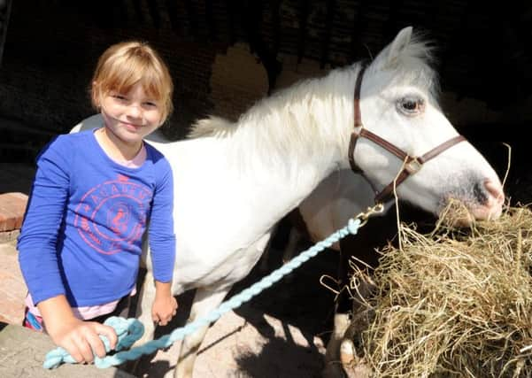 Calm Farm Event, Manor Barn, Bexhill.

Freya Jones. SUS-150828-161436001