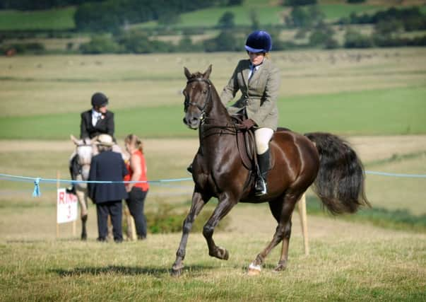 Rye Country Show 2016. SUS-160813-131514001