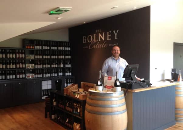 Bolney Wine Estate received a grant from the Business Growth Fund last year (photo submitted). SUS-160818-151357001