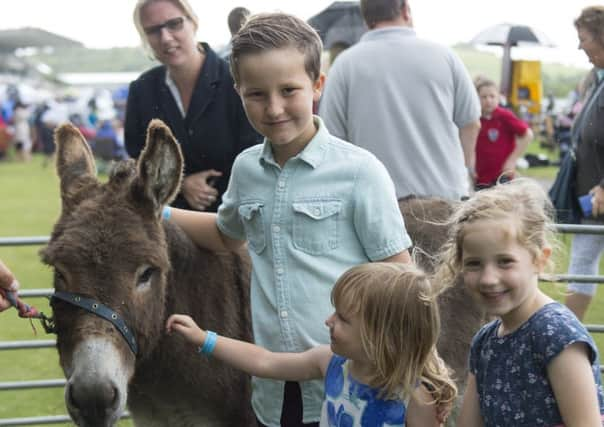 Youngsters enjoy the petting zoo at Goodwood / Picture by Matt Sills - www.mattsills.co.uk