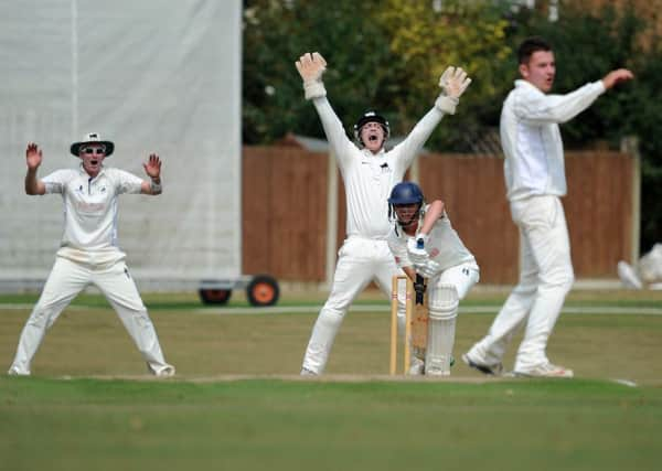 Cricket  Roffey (bowling) v Horsham. Joe Ludlow batting, survives this big shout. Pic Steve Robards  SR1624327 SUS-160829-130243001