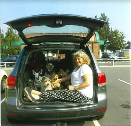 This young lady (pictured above) told me she worked for a dog shelter in This picture was taken outside Morrisons in Littlehampton by Rita Fellows SUS-160509-131611001