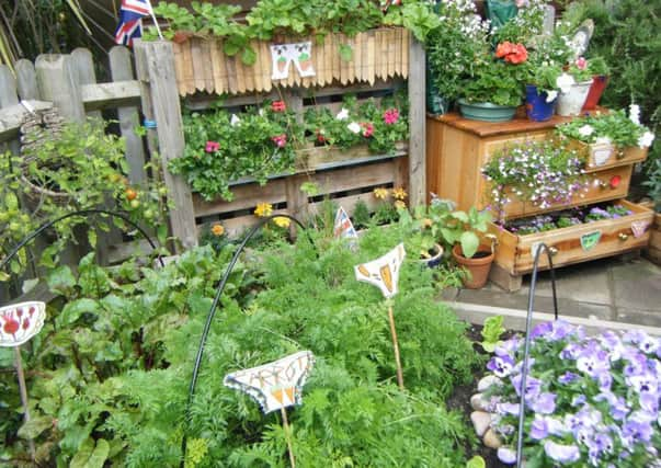 Trafalgar Infant School's Horsham in Bloom garden