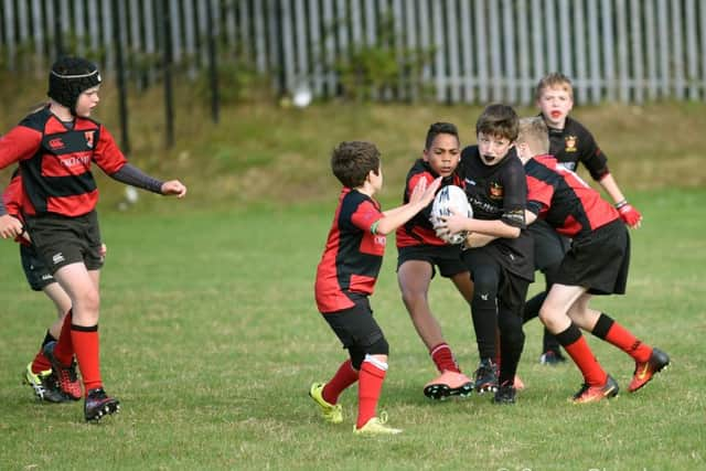 Burgess Hill Rugby Club's junior section enjoyed the Minis Rugby Festival at Hastings. Picture by Steve Blanthorn