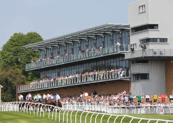 It's been a successful year at Fontwell Park / Picture by Nigel Bowles