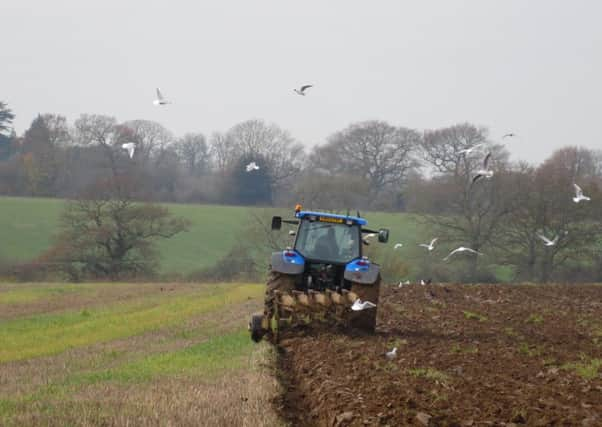 Mid Sussex district countryside (photo from Campaign to Protect Rural England - Sussex branch). SUS-161121-124109001