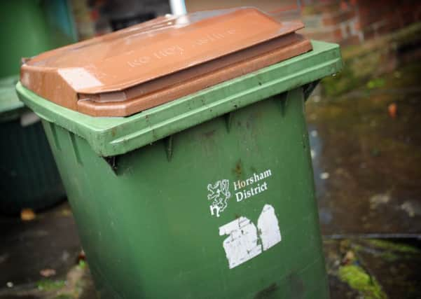 JPCT 20-11-12 S12460521X Horsham Brown green waste recycle bin -photo by Steve Cobb ENGSUS00120121120150025