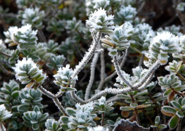 Frosts expected across Sussex