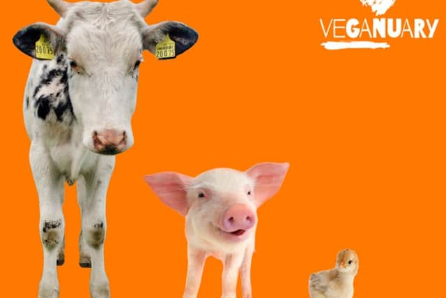 Veganuary poster