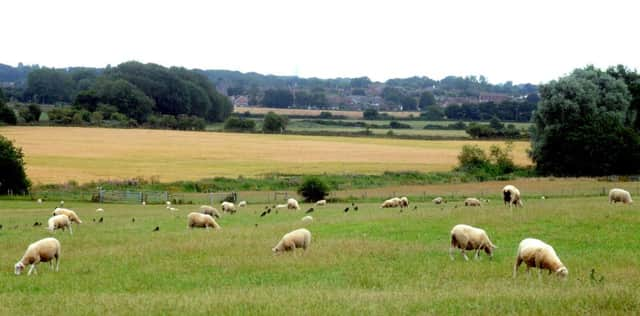 ks1500298-3 Chi Scenic  phot kate
View of Chichester north of Lavant..ks1500298-3