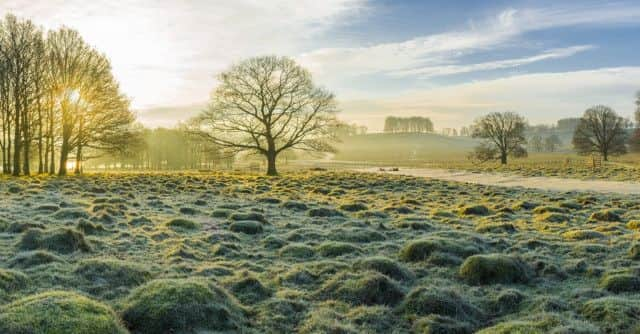 'Frozen Park' by Robert Maynard received 3rd place