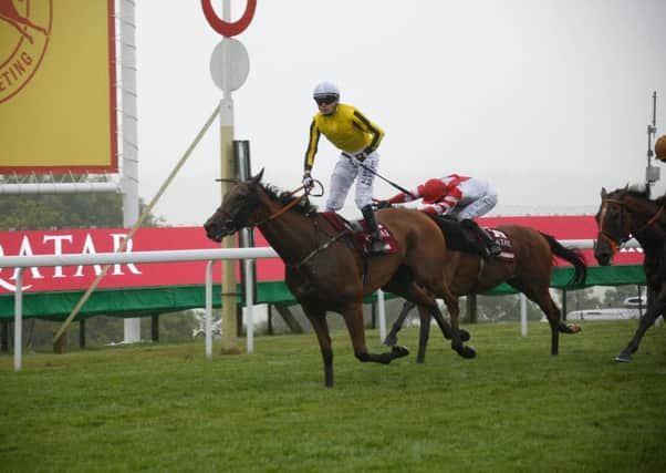 Big Orange wins the 2015 Qatar Goodwood Cup - could he get the chance to do it again in a Group 1 race this year? Picture by Clive Bennett