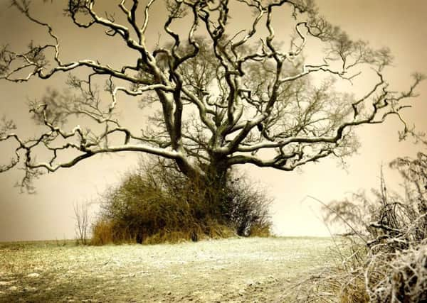 Snowscape - a long exposure was used to create this daylight effect. Looking south towards the Downs. Pic Steve Robards SR1700458 SUS-170114-123943001