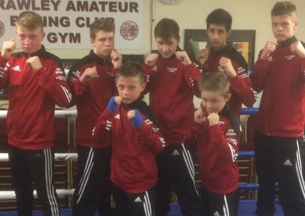 Crawley Boxing Club's Elite Junior Boxing squad.
Back row (l-r) Jay Watkins, Kristian Reders, Tommy Cash, Amaan Ali Khan, Alin Iacoban. Front row (l-r) Jude Watkins and Harry Parsons SUS-170602-151907002