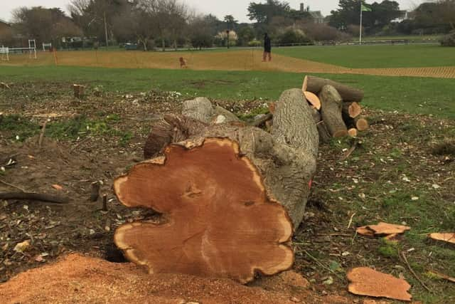 Tree felling in Mewsbrook Park making way for the new leisure centre