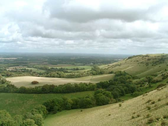 South Downs land