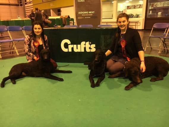 Chimene Carrick and Violett Hallett with their Curly Coated Retrievers  Lois, Dolcie and Dakota