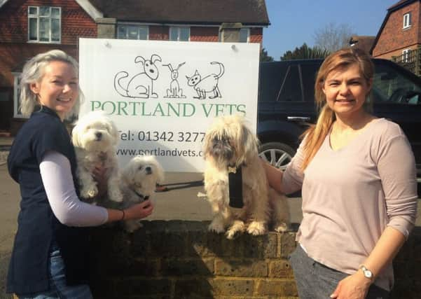 Vet Anna Garvey (left) with Boris's owner Helen Finch