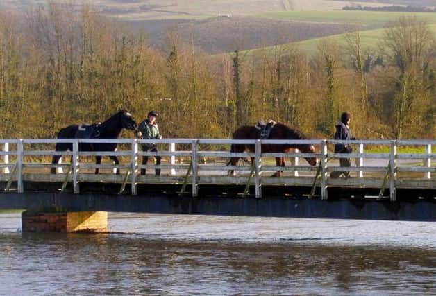 Horses in Alfriston. Photograph: Kevin Gordon