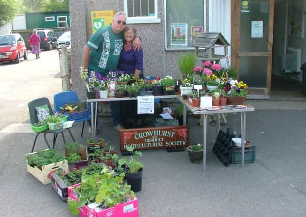 Crowhurst and District Horticultural Society Chairman Mary Boorman and member Bob Clifford who  donated many plants to the society's plant sale SUS-161005-095917001