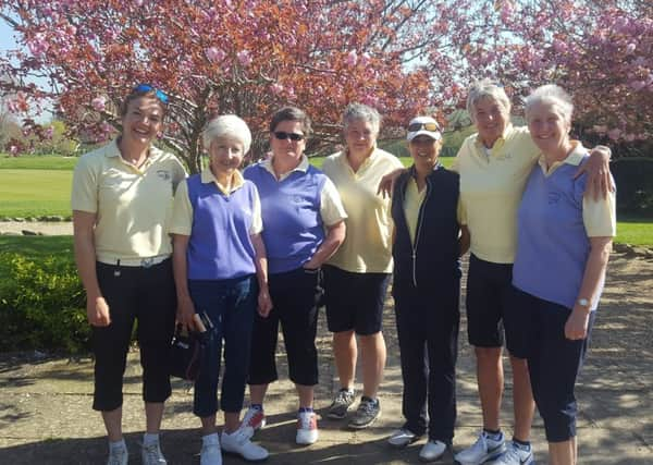 Chichester's ladies' second-division team