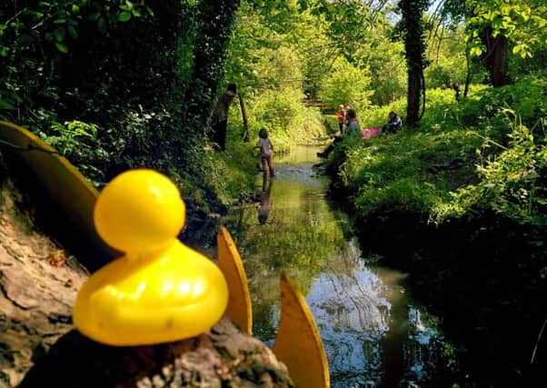 Storrington Duck Race. Photos by Alan Stainer