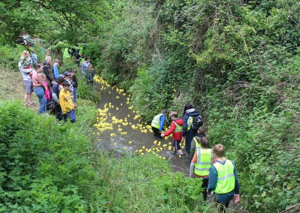 Hundreds enjoyed the Storrington Duck Race over the weekend.