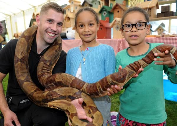 Visitors at last year's Burgess Hill Summer Festival. Picture: Steve Robards