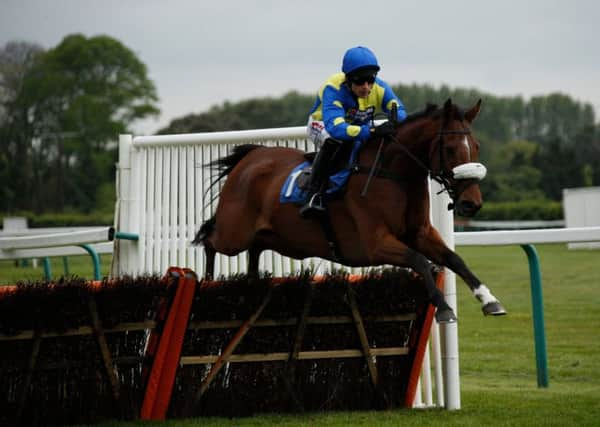 Work In Progress and Harry Skelton on their way to victory / Picture by Clive Bennett