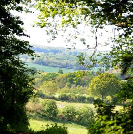 View north of Pulborough.  Pic Steve Robards SR1710247