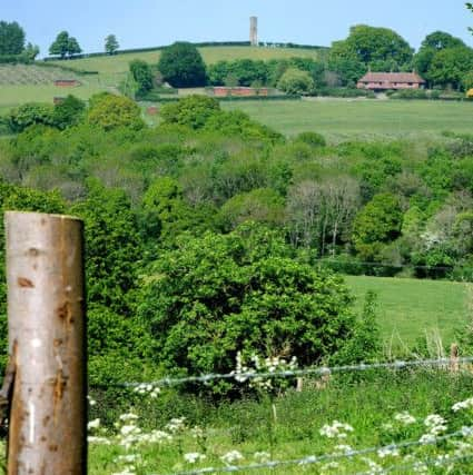 Toat monument near Pulborough. Pic Steve Robards SR1710253