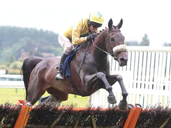 The Wicket Chicken, ridden by Noel Fehily, on the way to victory - as tipped on this website