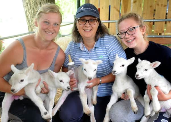 Mandy Forrest, centre, with helpers Leeanne Jenner and Jade Green