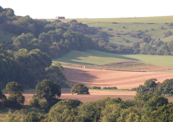 South Downs, Washington. Photo by Derek Martin