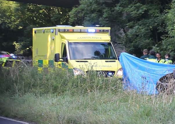 Silviya Petrova was driving along the A24 when she lost control. Picture: Eddie Mitchell