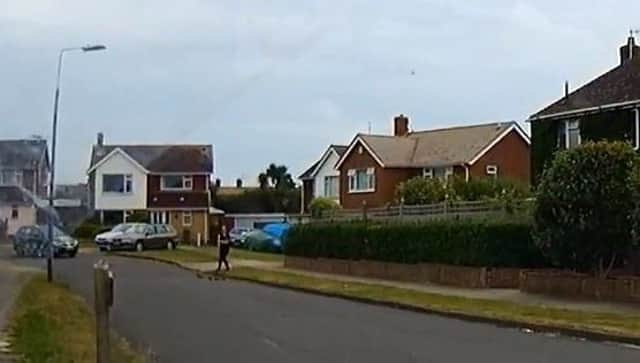 The duckings and mother duck walking across the road