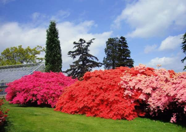 Leonardslee Gardens at Lower Beeding have been bought by South African businesswoman Penny Streeter SUS-171207-171015001