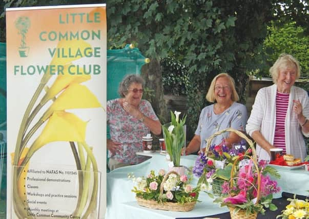 Little Common Village Fete. Photo by Derek Canty SUS-170716-155835001