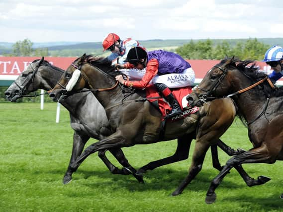 The dramatic finish to the opening race of the week / Picture by Malcolm Wells