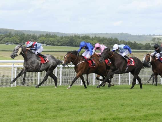 Master of the World wins the Betfred Mile / Picture by Malcolm Wells